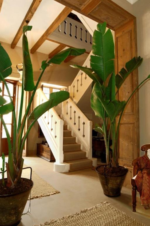 Casa Vina De Alcantara Χέρεζ Εξωτερικό φωτογραφία
