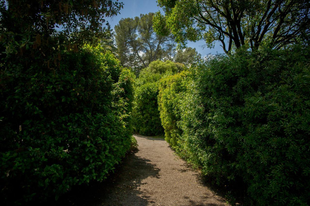 Casa Vina De Alcantara Χέρεζ Εξωτερικό φωτογραφία